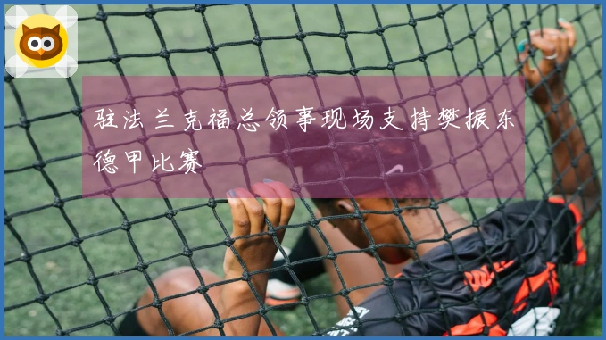 驻法兰克福总领事现场支持樊振东德甲比赛