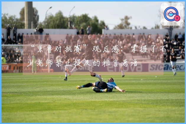 “京鲁对抗赛”观后感：掌握了不少老师禁止提及的粗言恶语