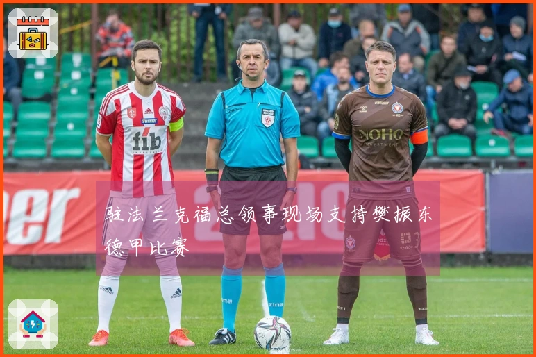 驻法兰克福总领事现场支持樊振东德甲比赛