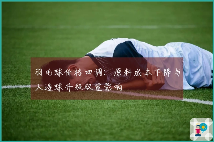 羽毛球价格回调：原料成本下降与人造球升级双重影响